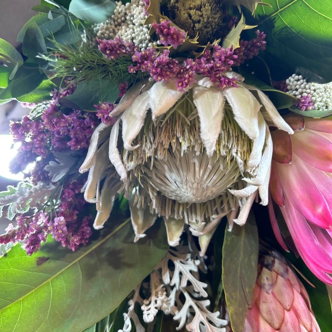 キングプロテアの吊り下げスワッグ