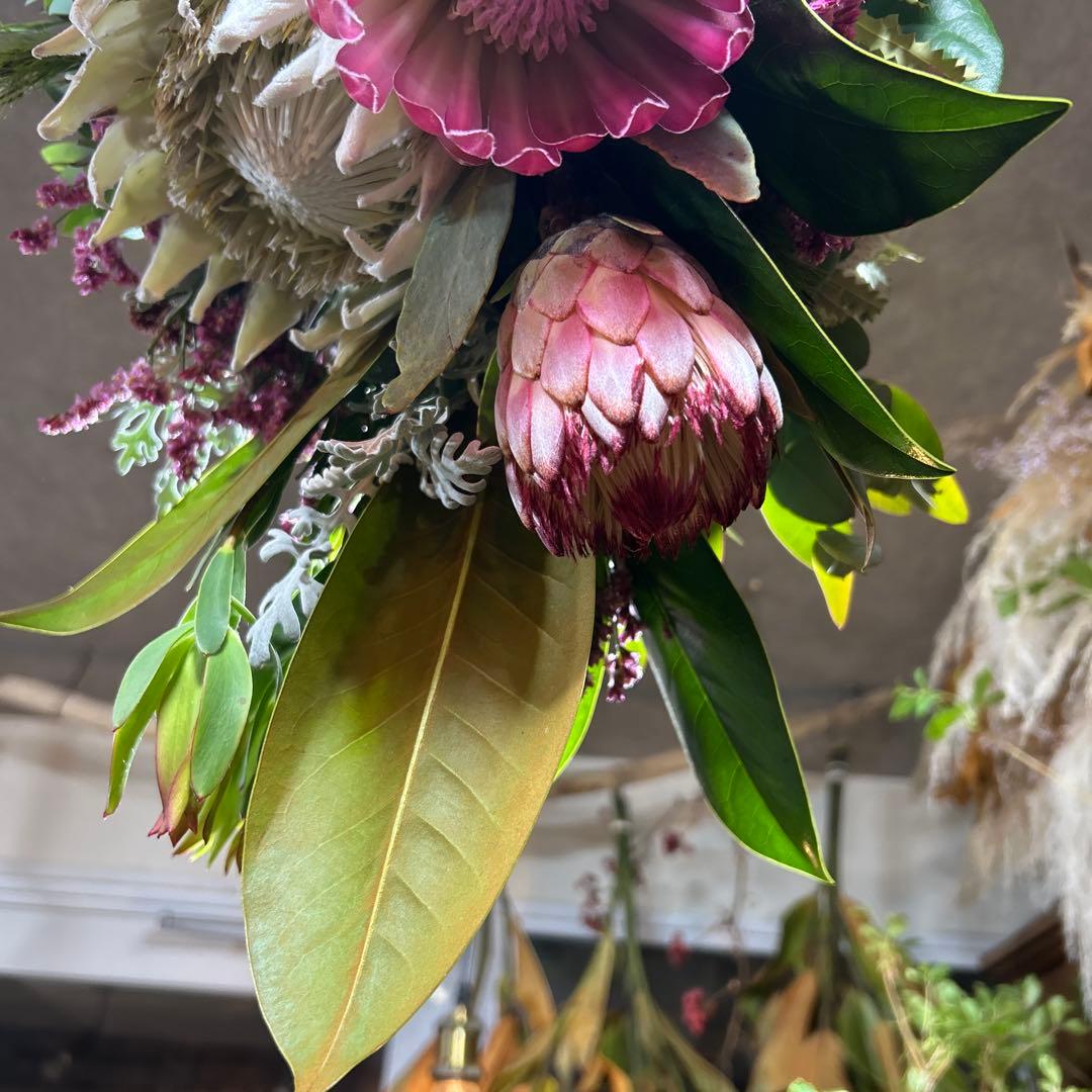 キングプロテアの吊り下げスワッグ