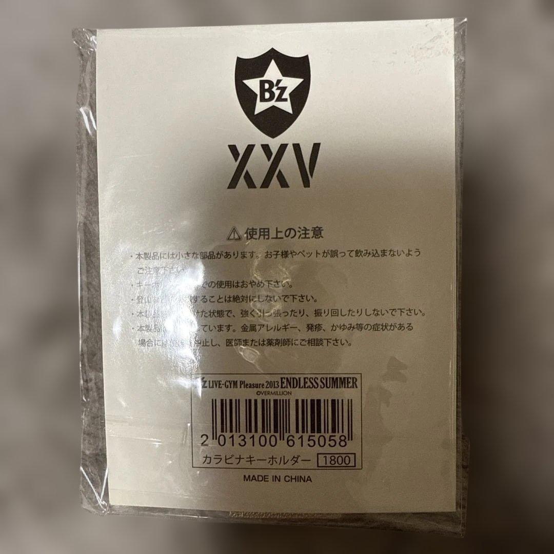 B'z Pleasure 2013 ENDLESS SUMMER キーホルダー