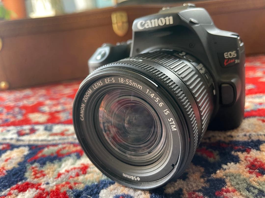 状態良い　キャノン EOS Kiss X10 マイク、予備バッテリーおまけ多数