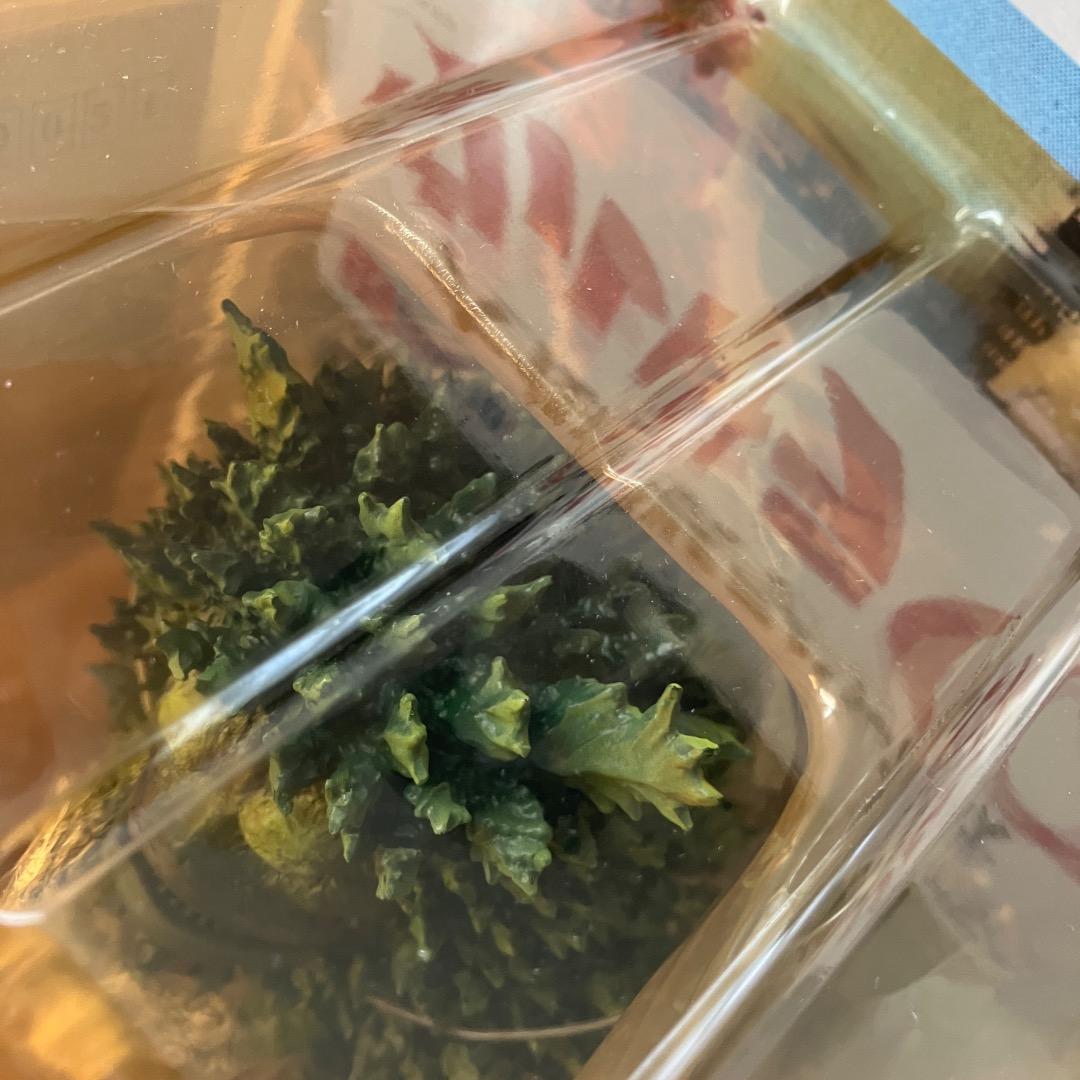 大怪獣シリーズ　ガラモン　グリーン版　新品未開封