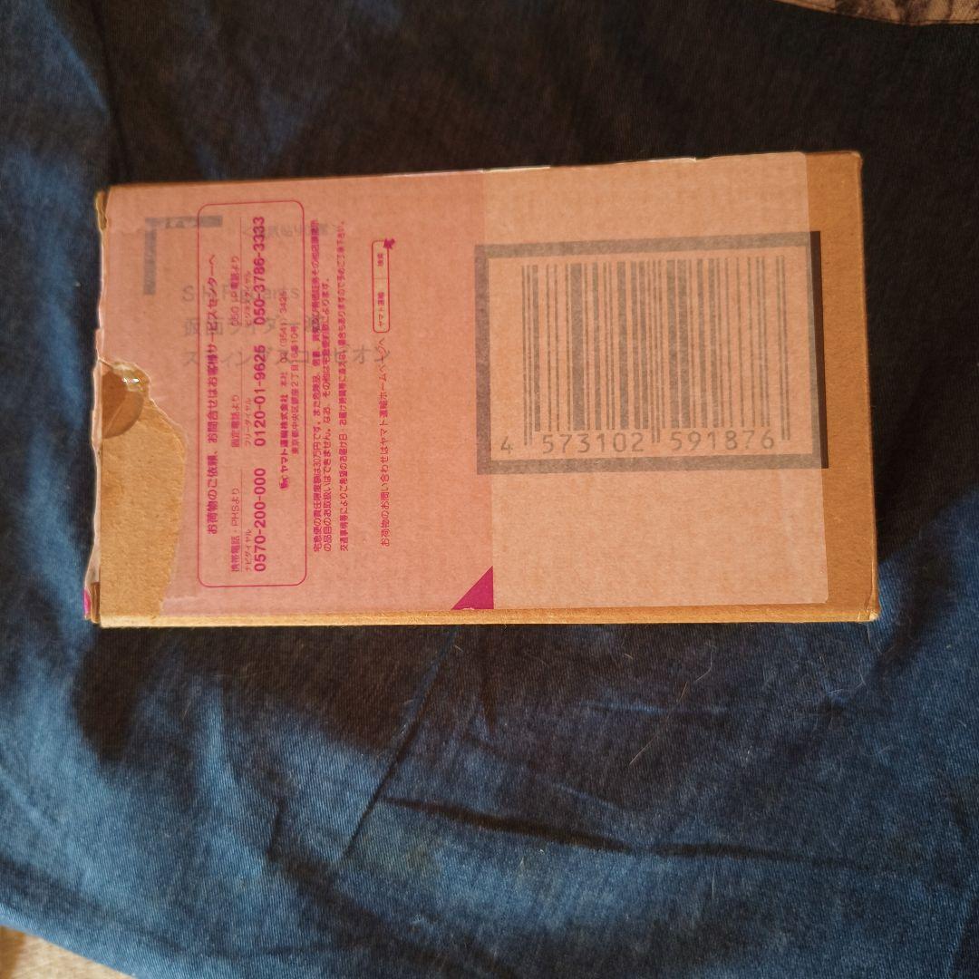 特撮 SHFiguarts KAMEN RIDER HOROBI SS