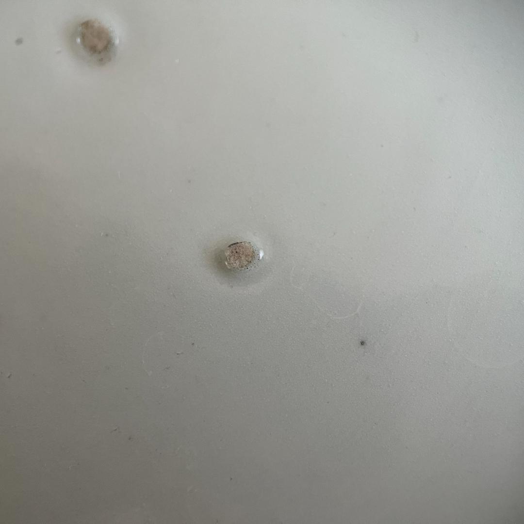 古伊万里 染付 楼閣山水図 皿（時代箱付）φ21.9cm