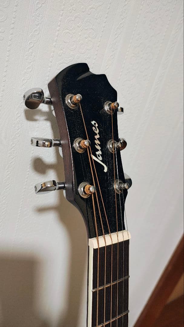 美品　James J-450D　Ova ピックアップ搭載　カーボン おまけ有り