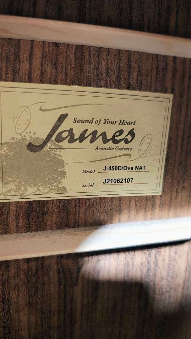 美品　James J-450D　Ova ピックアップ搭載　カーボン おまけ有り