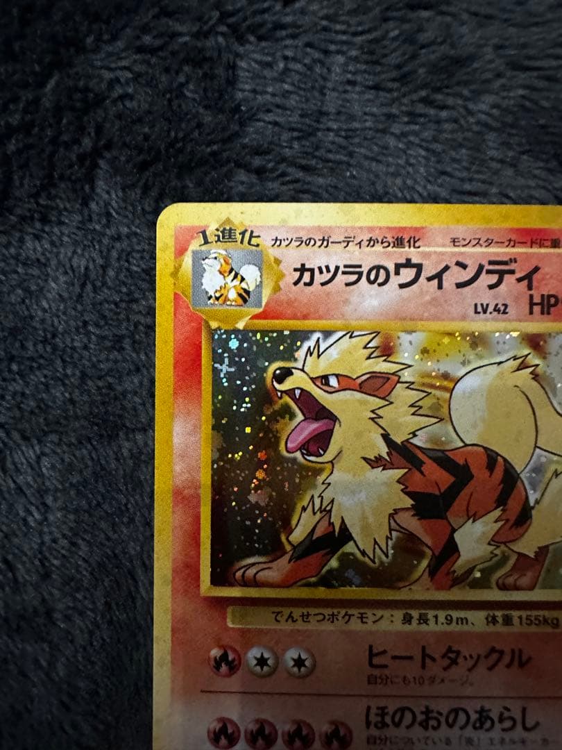 極美品　カツラのウィンディ　旧裏