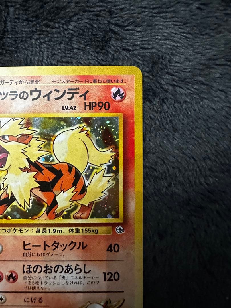 極美品　カツラのウィンディ　旧裏