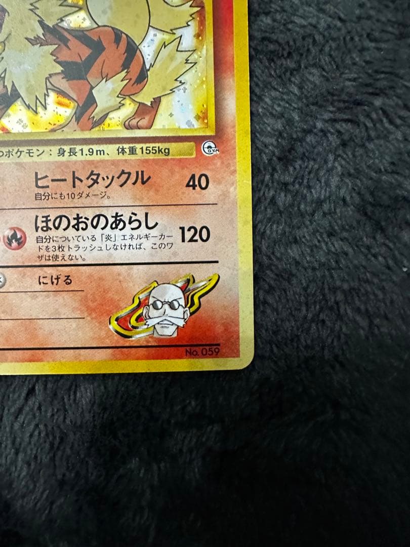 極美品　カツラのウィンディ　旧裏