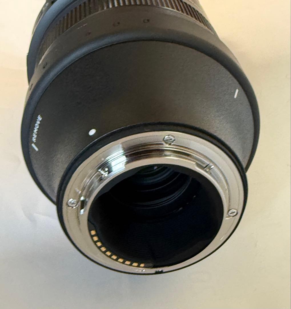 SIGMA 100-400mm F5-6.3 DG DN OS ソニーαE用