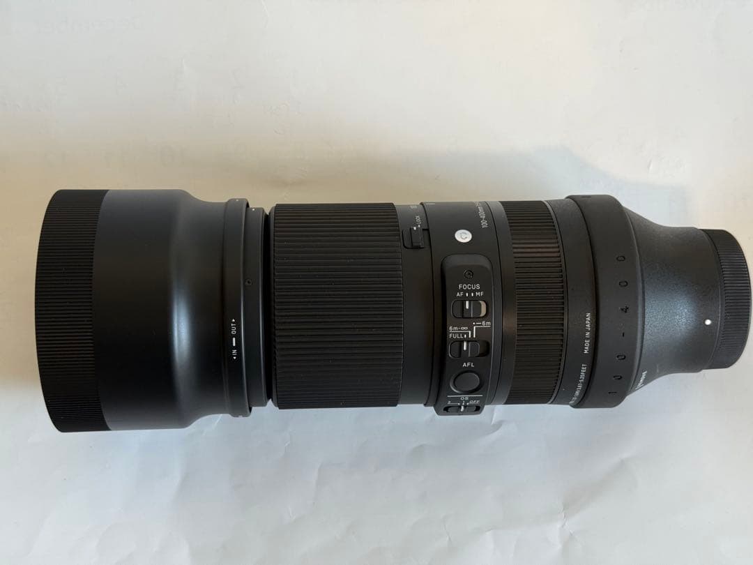 SIGMA 100-400mm F5-6.3 DG DN OS ソニーαE用