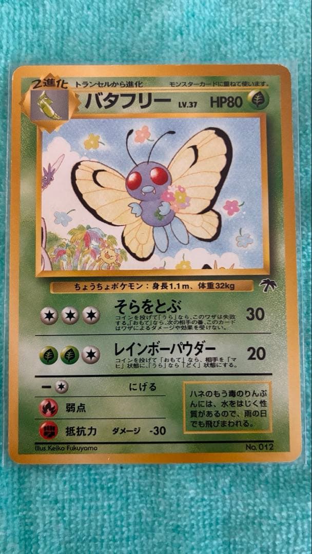 ポケモンカード　ポケカ　旧裏　サザンアイランド　３枚セット