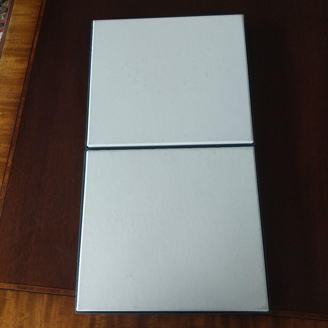 吹墨魚双魚文隋円皿 河上恭一郎作 ガラス皿 2枚セット