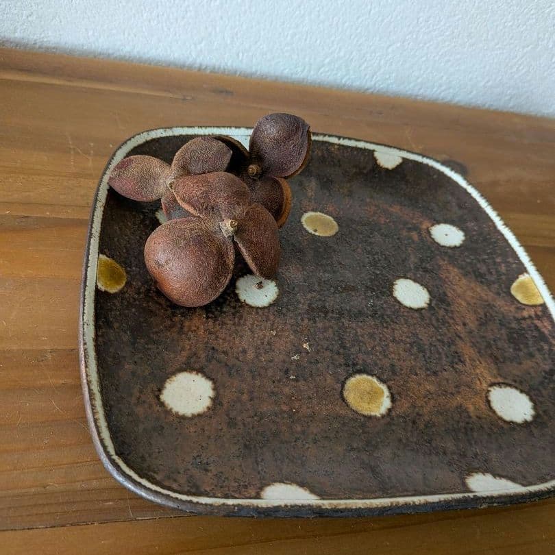 お値下げ最終…市岡泰さん　素敵なドット…ワンプレート　プレート　皿