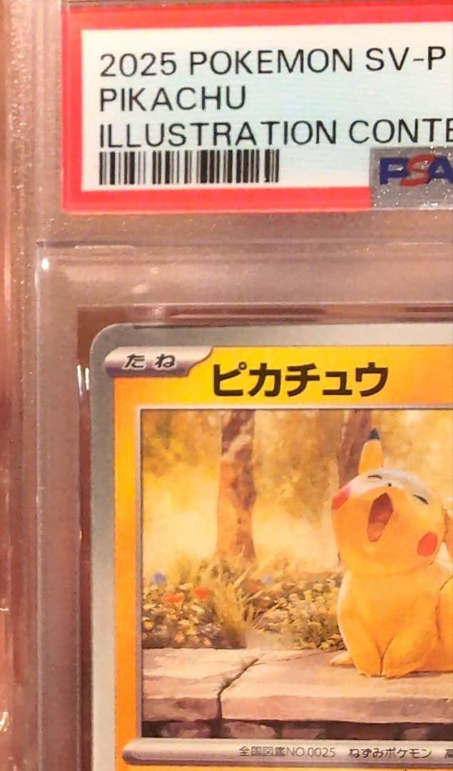【PSA10】2025 ピカチュウ イラストコンテスト