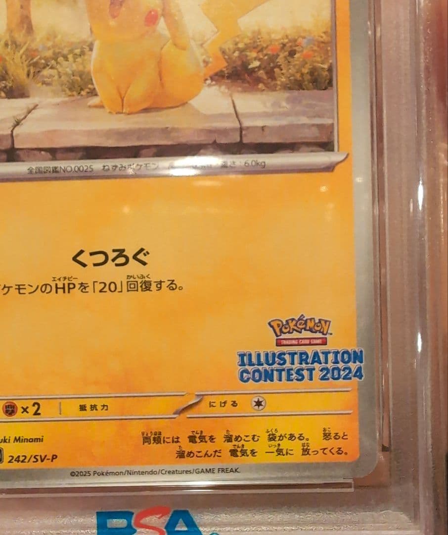 【PSA10】2025 ピカチュウ イラストコンテスト