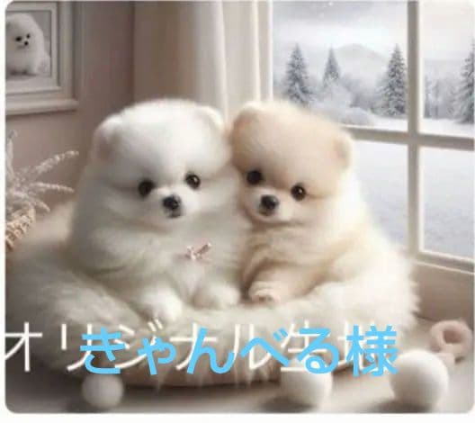 専用　ご確認用　りんりん様パネル　ポメラニアン柄2種類　ハンカチ　ハンドメイド