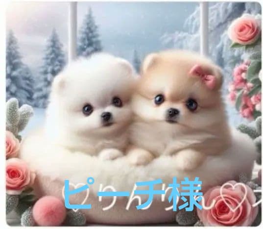 専用　ご確認用　りんりん様パネル　ポメラニアン柄2種類　ハンカチ　ハンドメイド