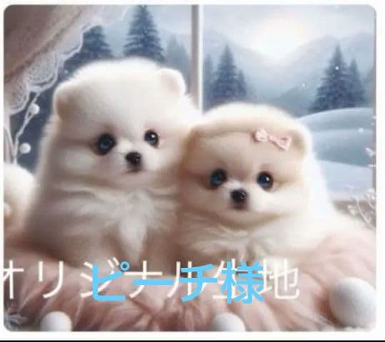 専用　ご確認用　りんりん様パネル　ポメラニアン柄2種類　ハンカチ　ハンドメイド