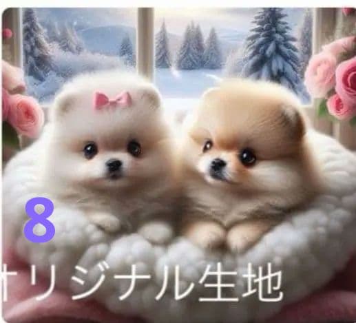 専用　ご確認用　りんりん様パネル　ポメラニアン柄2種類　ハンカチ　ハンドメイド
