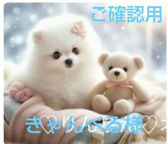 専用　ご確認用　りんりん様パネル　ポメラニアン柄2種類　ハンカチ　ハンドメイド