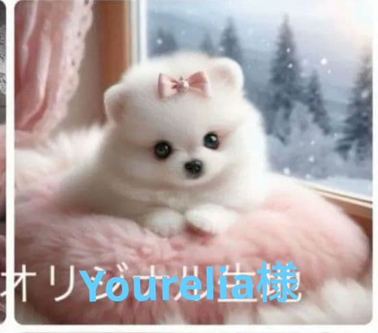 専用　ご確認用　りんりん様パネル　ポメラニアン柄2種類　ハンカチ　ハンドメイド