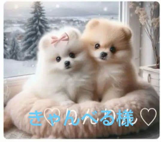 専用　ご確認用　りんりん様パネル　ポメラニアン柄2種類　ハンカチ　ハンドメイド