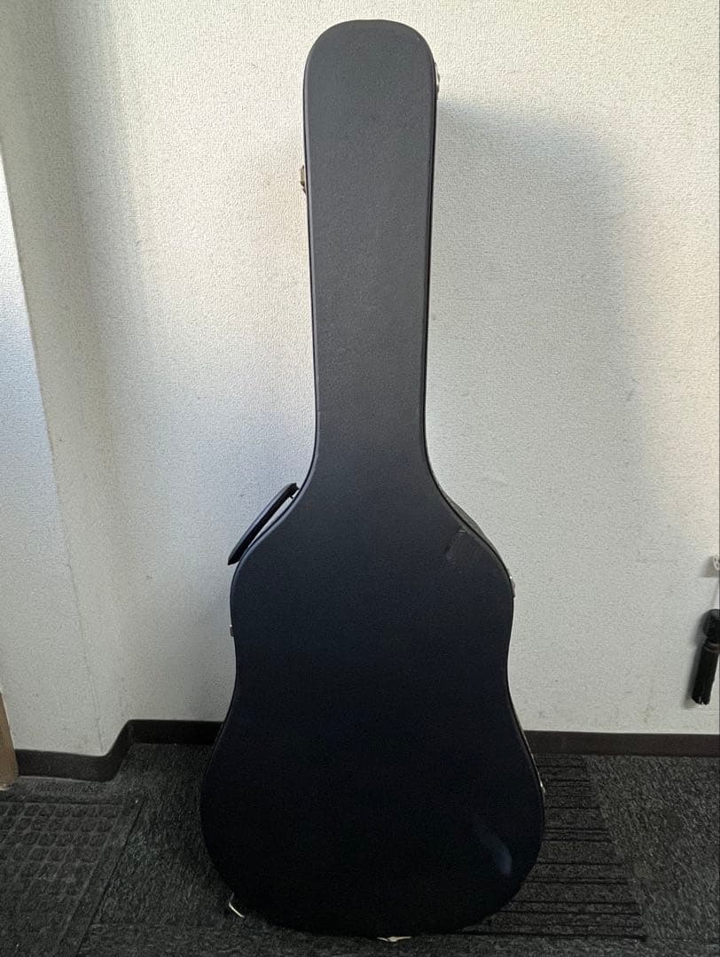 Morris Tornado 12弦エレアコ