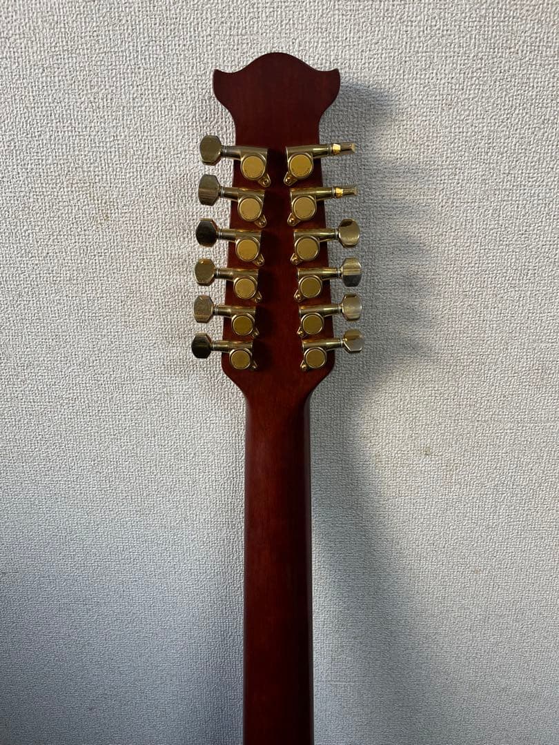 Morris Tornado 12弦エレアコ