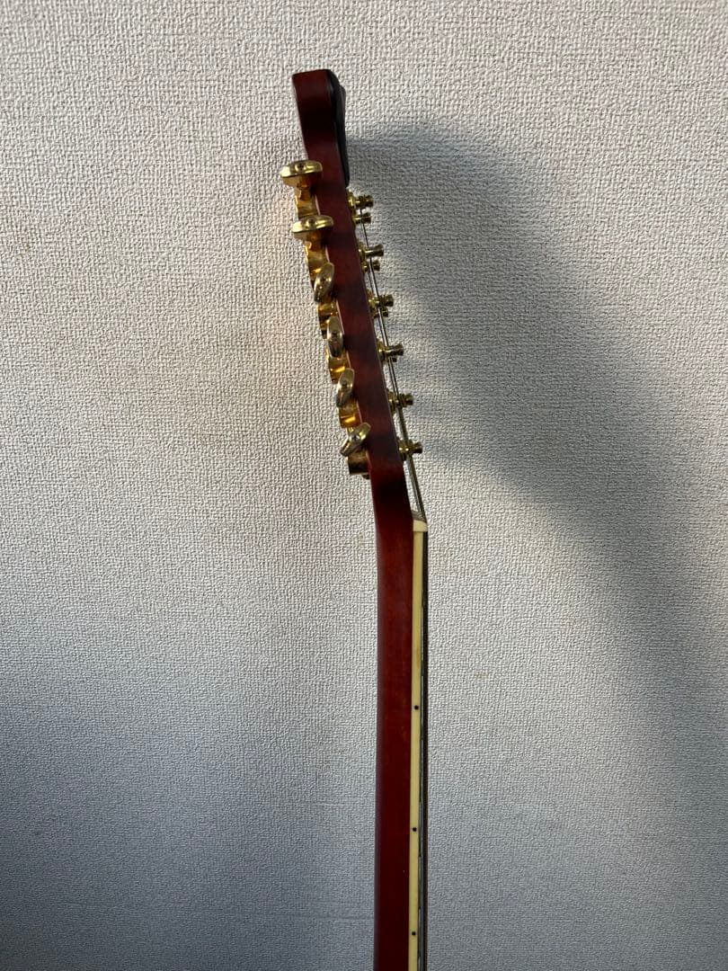 Morris Tornado 12弦エレアコ