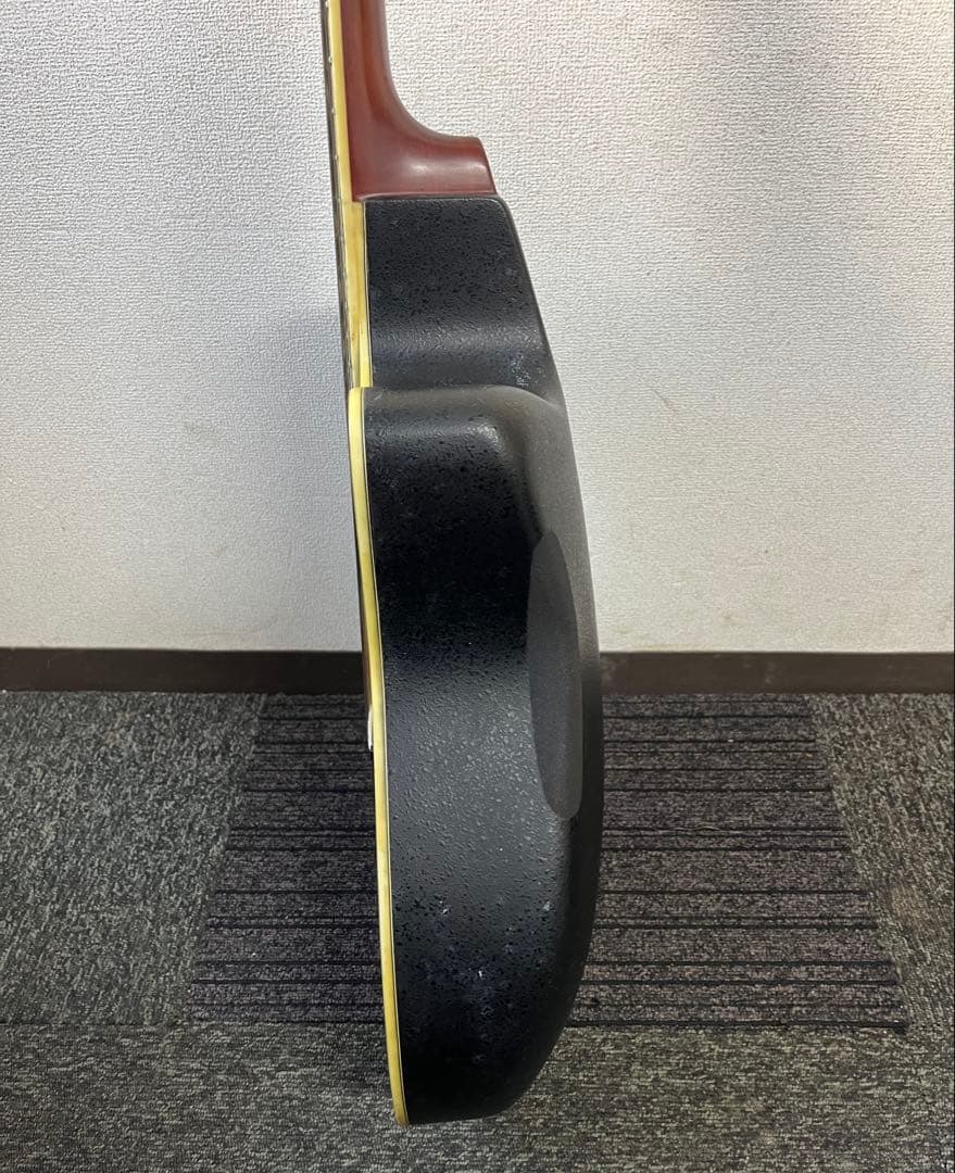 Morris Tornado 12弦エレアコ