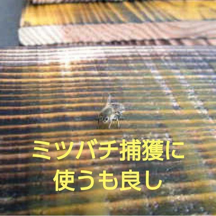 蜜蝋　ミツロウ　ハンドクリーム　ワックス　キャンドル　日本蜜蜂　ニホンミツバチg
