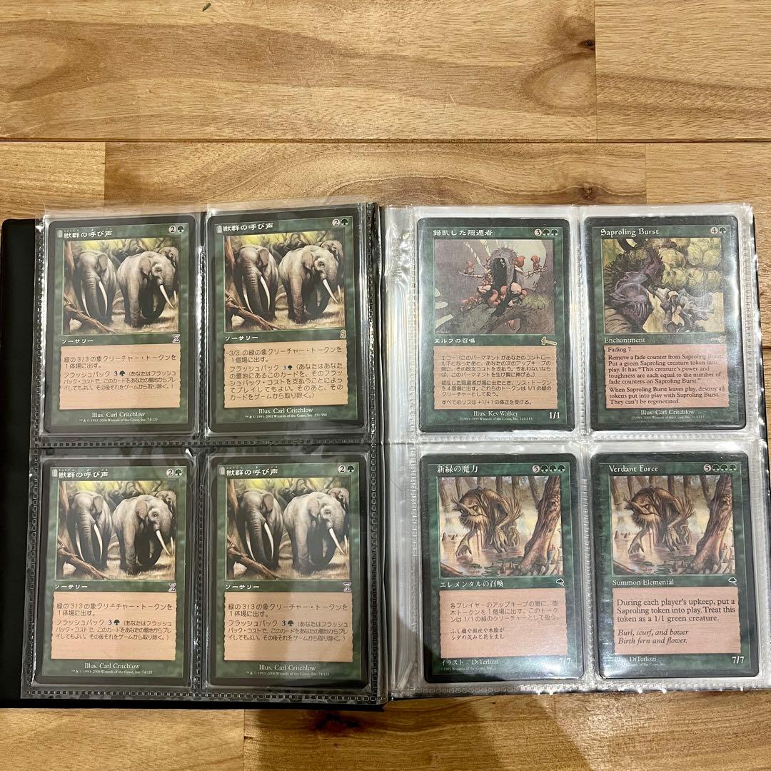MTG 再録禁止　まとめ売り　ミドルスクール用　80枚セット　絶版【写真追加】