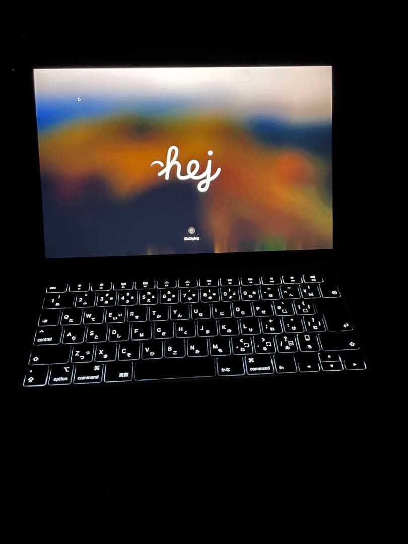 Apple MacBook Air Core i5 256GB 13.3インチ