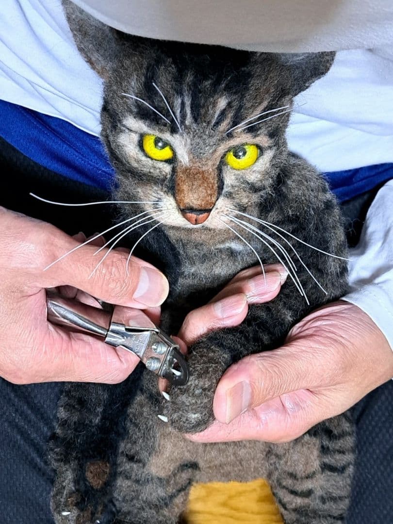 【オーダーメイド】【お値段以上】羊毛フェルト　うちの猫