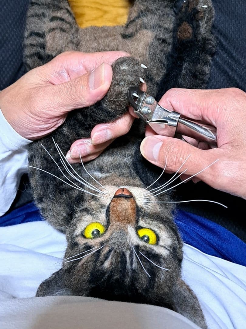 【オーダーメイド】【お値段以上】羊毛フェルト　うちの猫