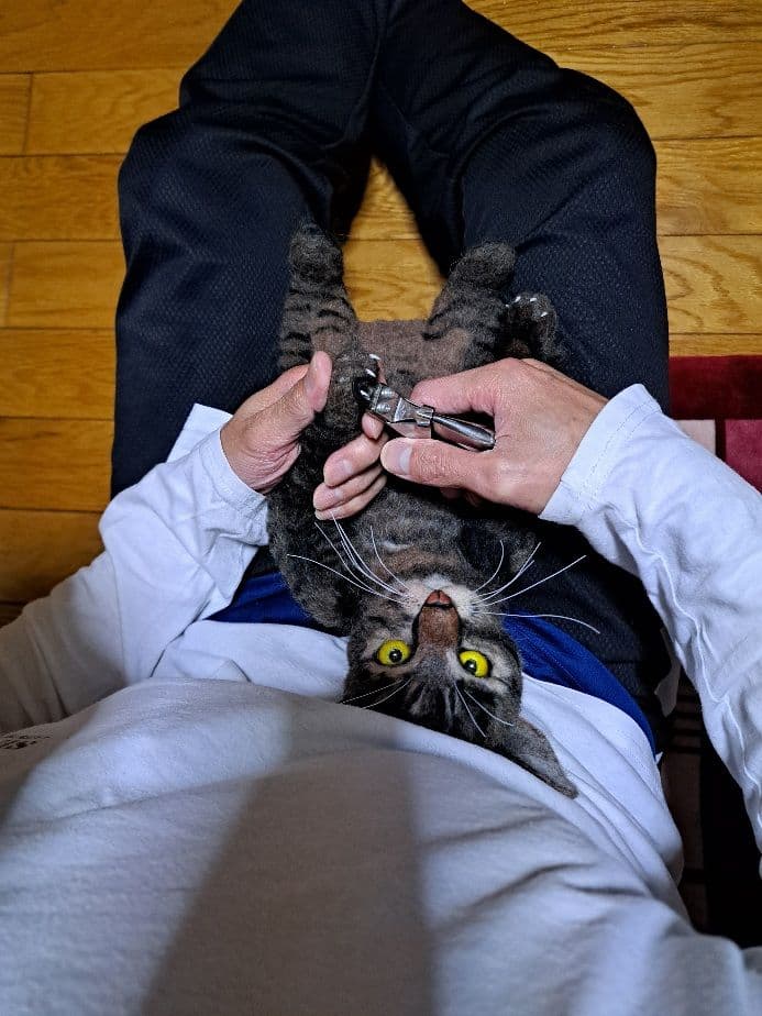 【オーダーメイド】【お値段以上】羊毛フェルト　うちの猫