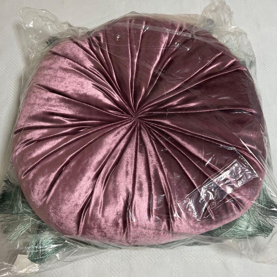 ANNASUI（アナスイ）✖️フランフラン☆クッション ライトベージュ［未使用］