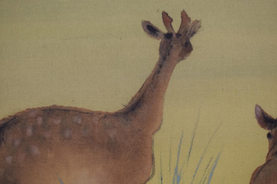 作者不詳/湖畔双鹿図/掛軸☆宝船☆Z-564