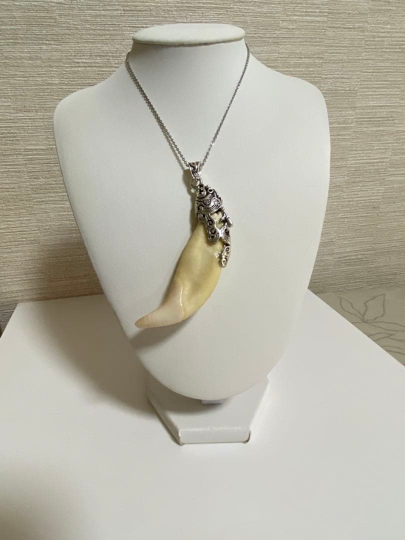 熊牙　熊歯　熊の牙　ツキノワグマ牙　ネックレス　キーホルダー　新作新品　送料無料