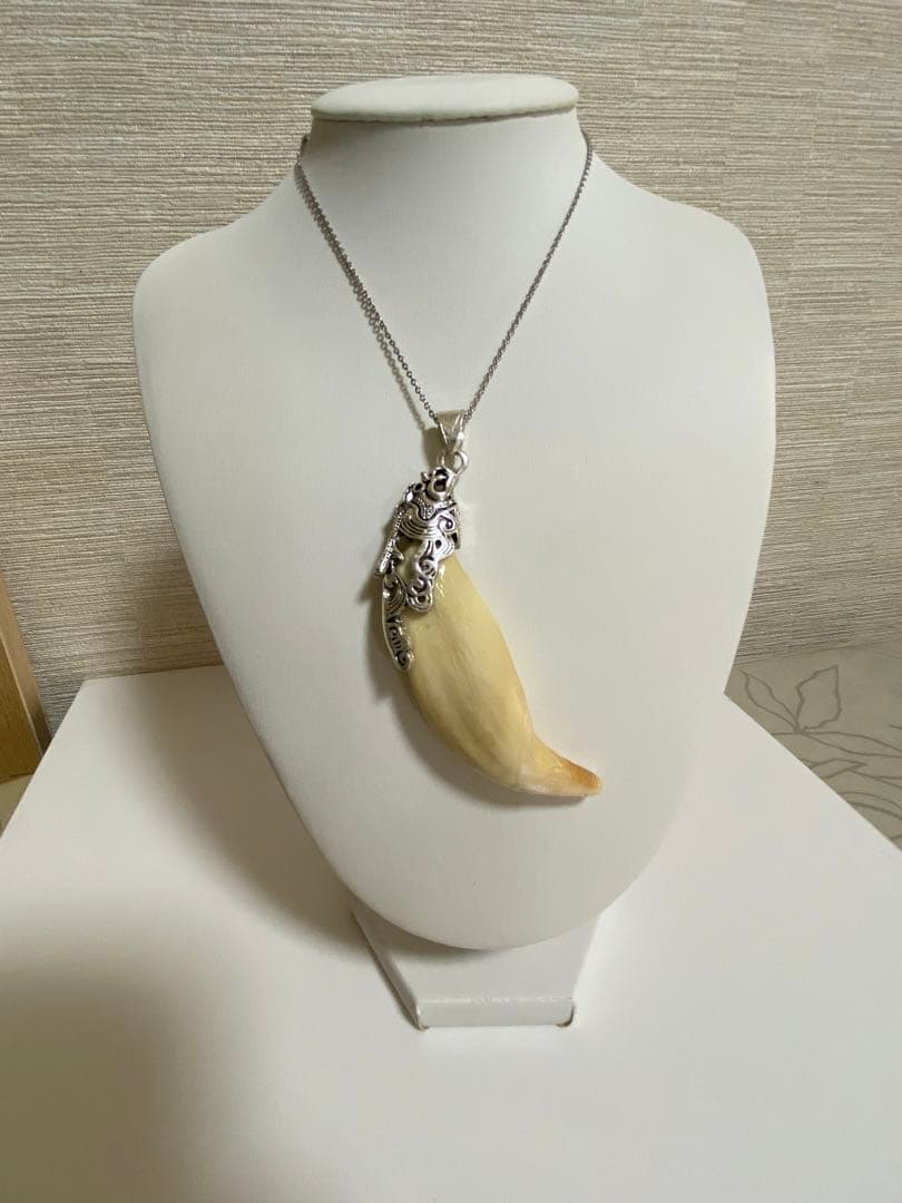 熊牙　熊歯　熊の牙　ツキノワグマ牙　ネックレス　キーホルダー　新作新品　送料無料