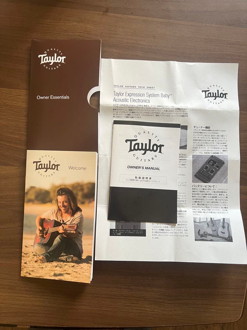 Taylor Guitars ( テイラーギター ) GS Mini-e