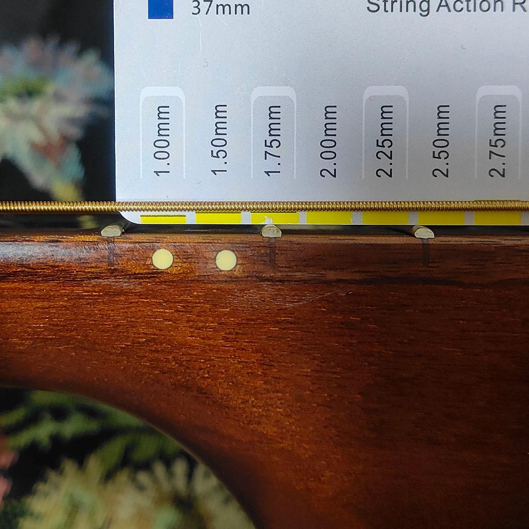 Fender Newporter Player CAR WN エレアコ ギター