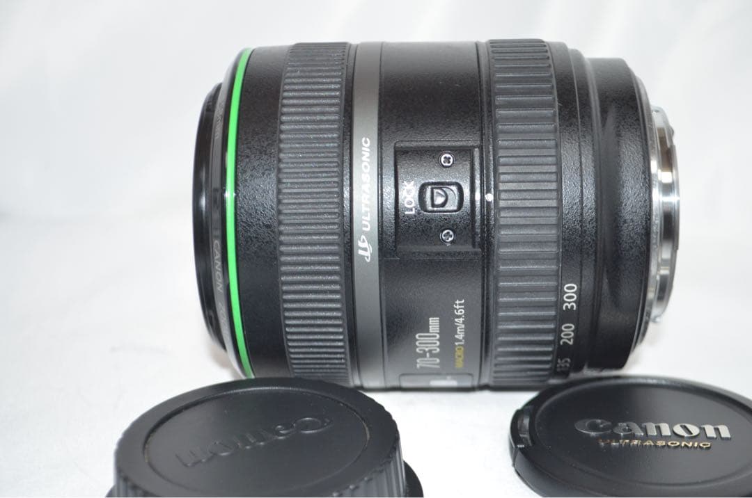 Canon キヤノン EF 70-300mm DO IS USM