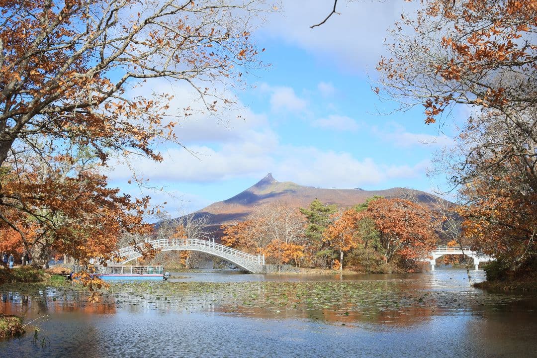 Super-Takumar 50mm F1.4 前期型 〈8枚玉〉【光学美品】