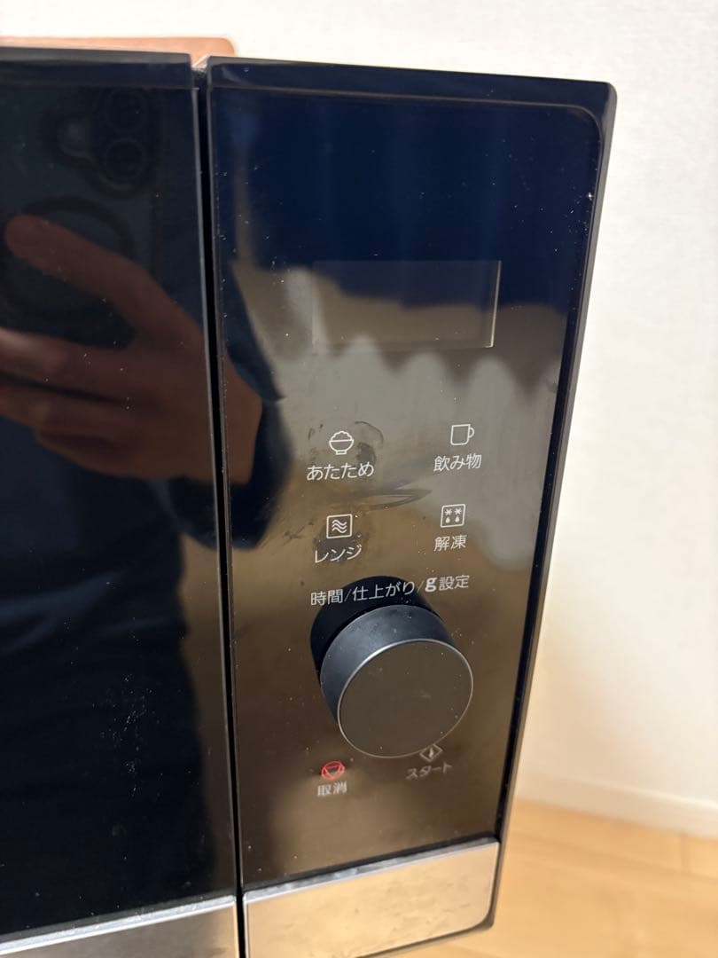 Panasonic NE-FL222 電子レンジ フラットテーブル