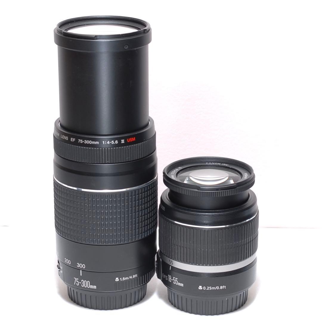 ハイアマチュアに❤Canon EOS 6D❤フルサイズ一眼レフ❤ダブルレンズ❤