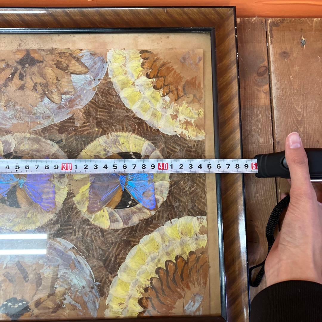 蝶の羽 バタフライアート モルフォ蝶 ヴィンテージ アンティーク レトロ 昭和レ