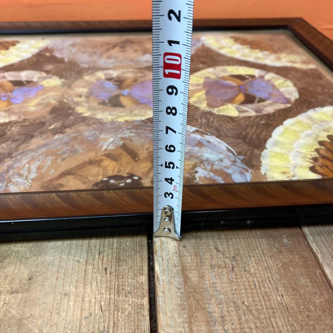 蝶の羽 バタフライアート モルフォ蝶 ヴィンテージ アンティーク レトロ 昭和レ