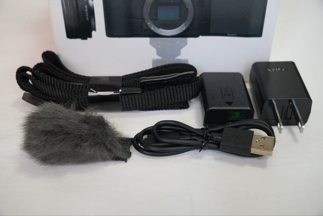 SONY ZV-E10L(SDカード,追加バッテリー付属)