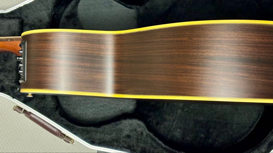 Takamine アコースティックギター NPT-010